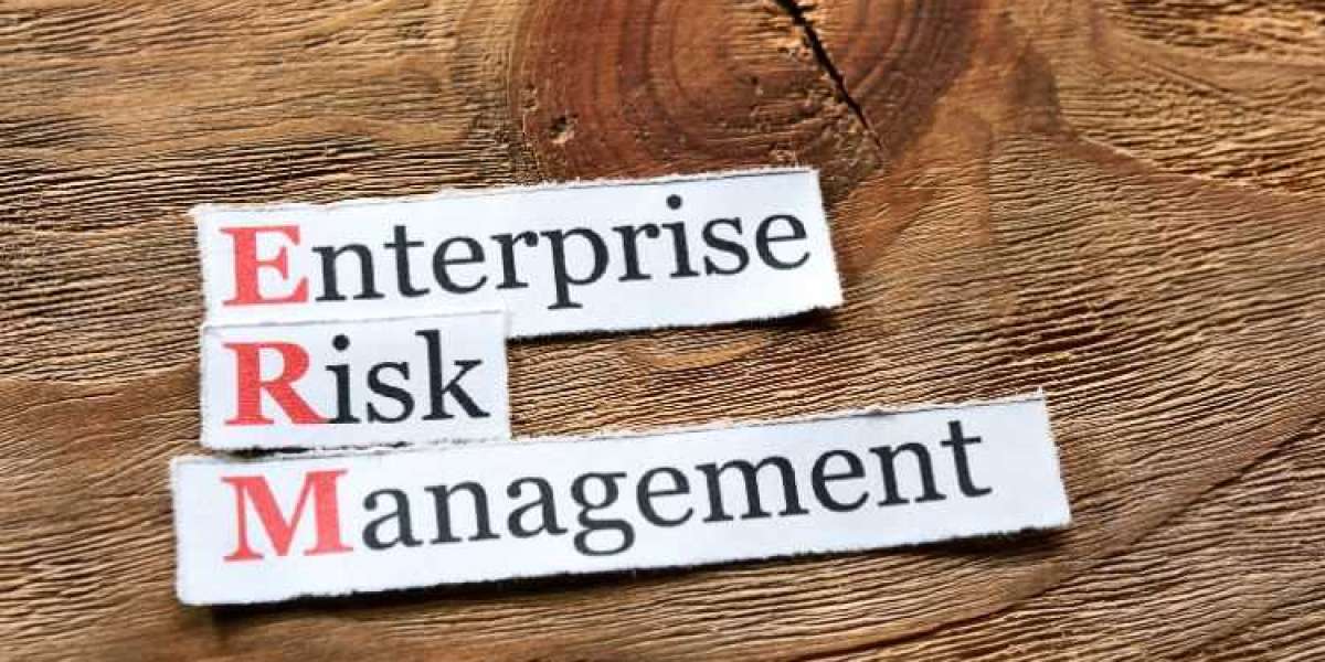 Enterprise Risk Management Market: Size, Growth & Analysis