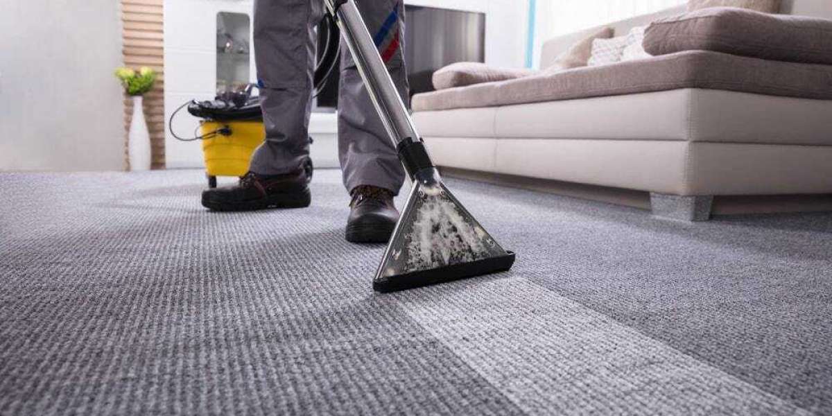 The Impact of Professional Carpet Cleaning on Home Comfort