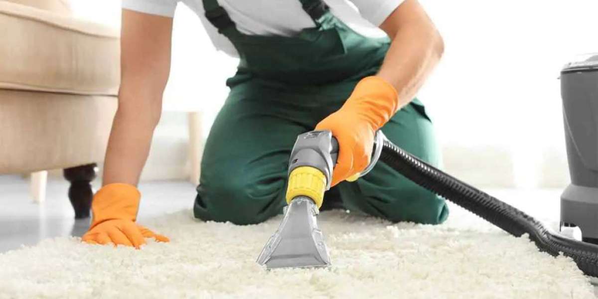 Enhance Your Home’s Look with Professional Carpet Cleaning Services