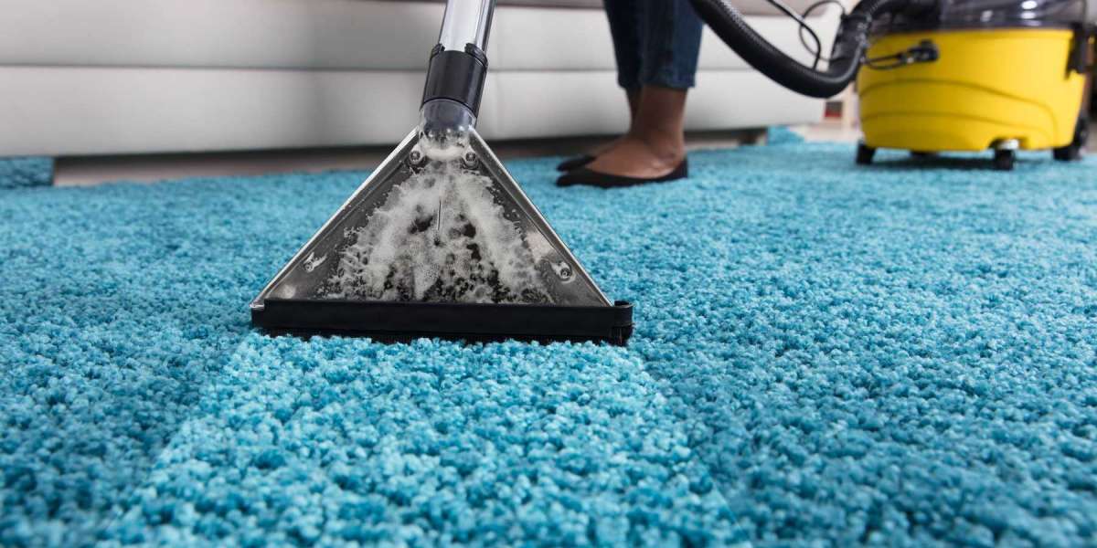 The Comfort and Wellness Benefits of Professional Carpet Cleaning