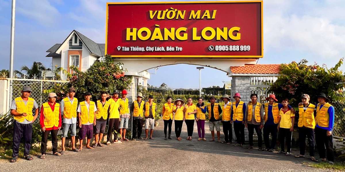 Top 6 liên hệ mua mai vàng hấp dẫn nhất Sài Gòn