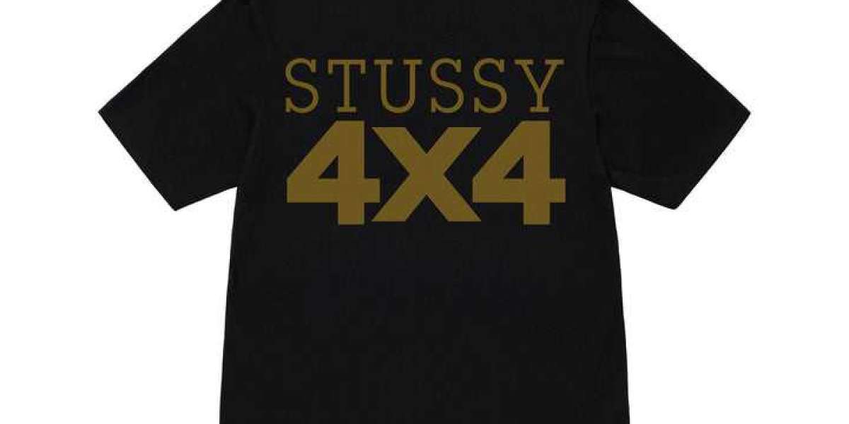 Stussy Hoodie Trends for Different Age Groups in the UK