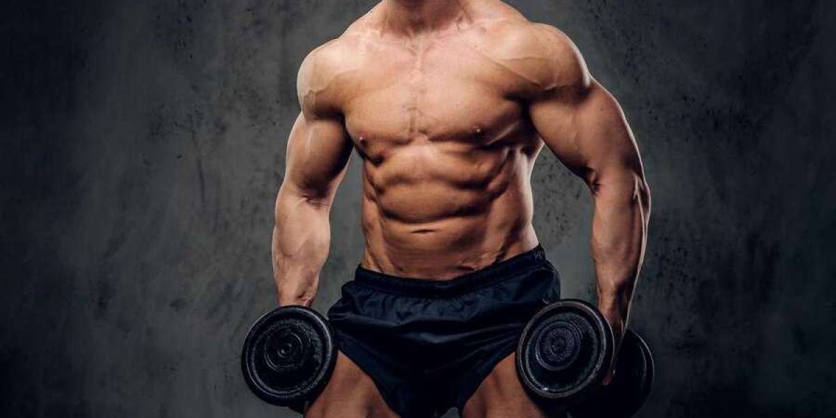 Top Turinabol Supplier for Bodybuilders – Best Wholesale Prices