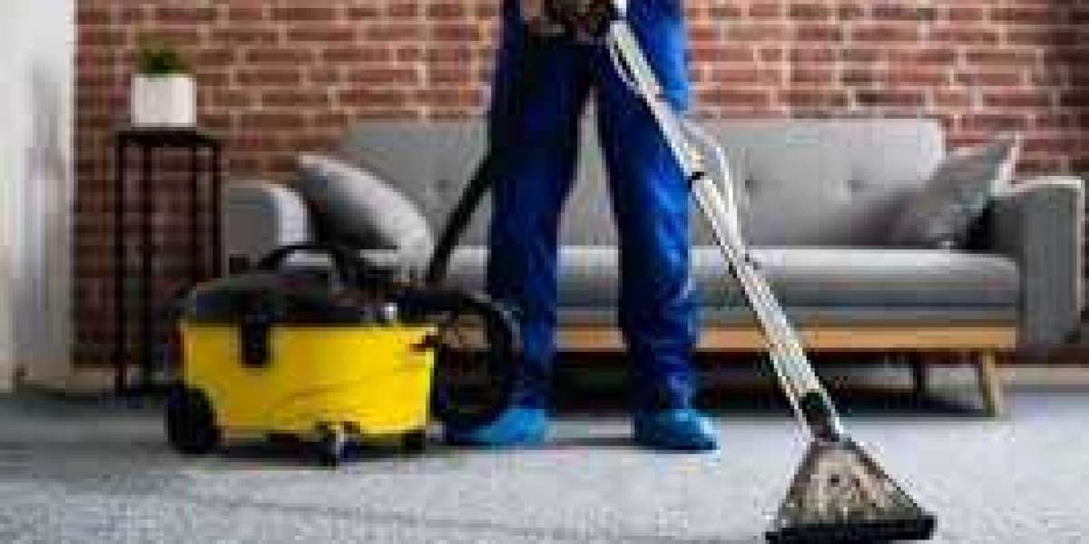 Carpet Cleaning: The Path to a Comfortable and Fresh-Feeling Home